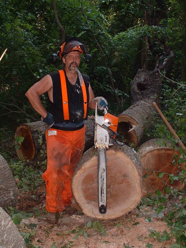 chainsaws_056.jpg