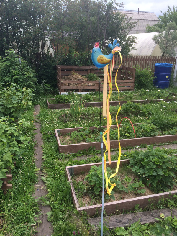 16F792E5-C496-41D2-9106-26E8A9B33C77