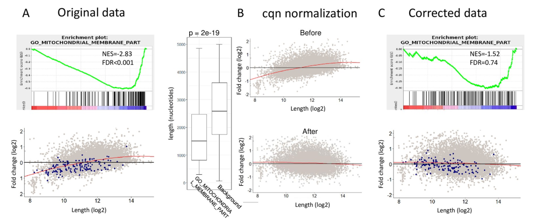 RNA-seq_5