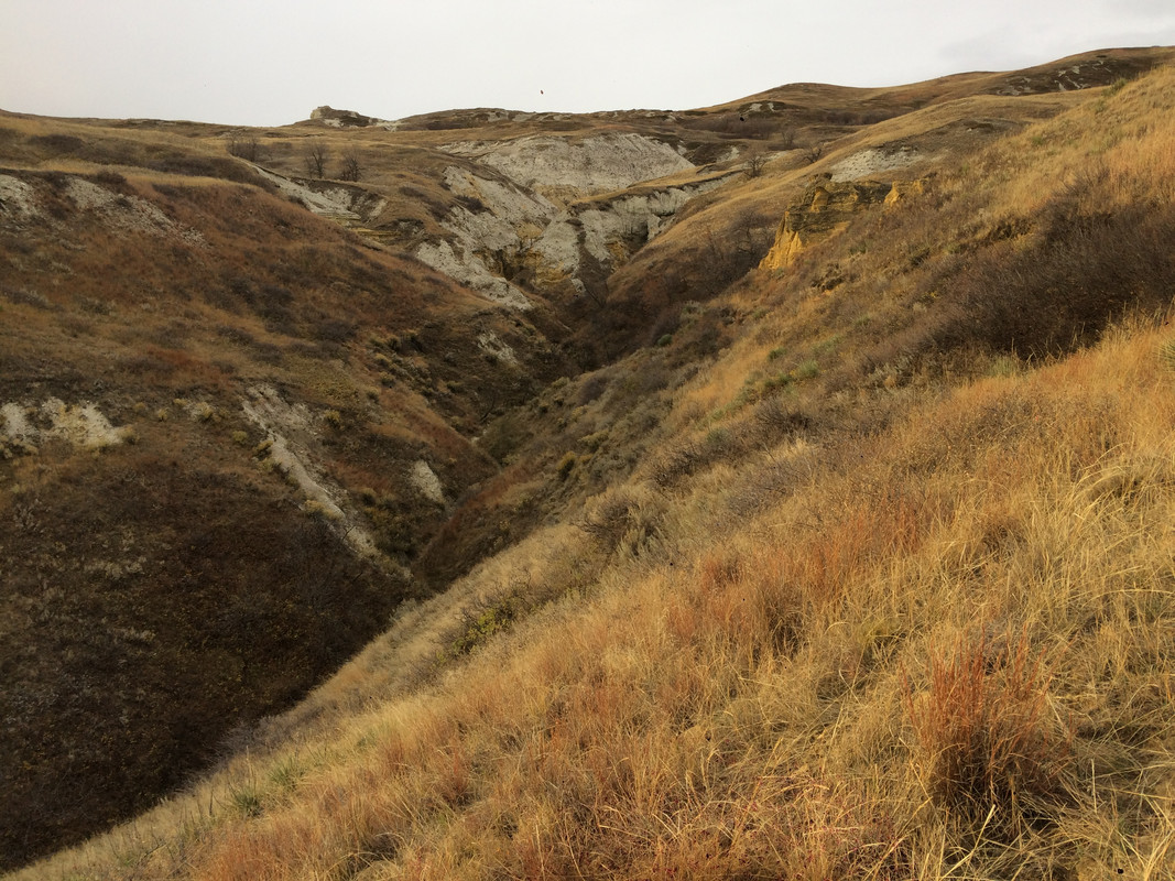 EBB8B8D4-D27A-4D0B-9009-BB51DA99B9A1