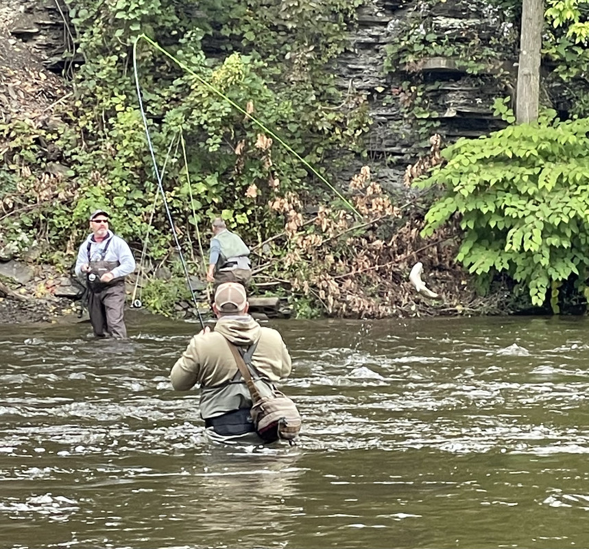 FE6A3605-242F-480B-940B-F51A249AED8A