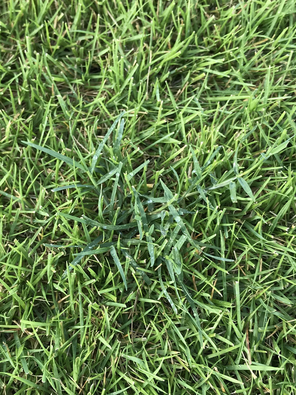 510B02B4-950F-4FEF-8E14-15EBC8DA5D55