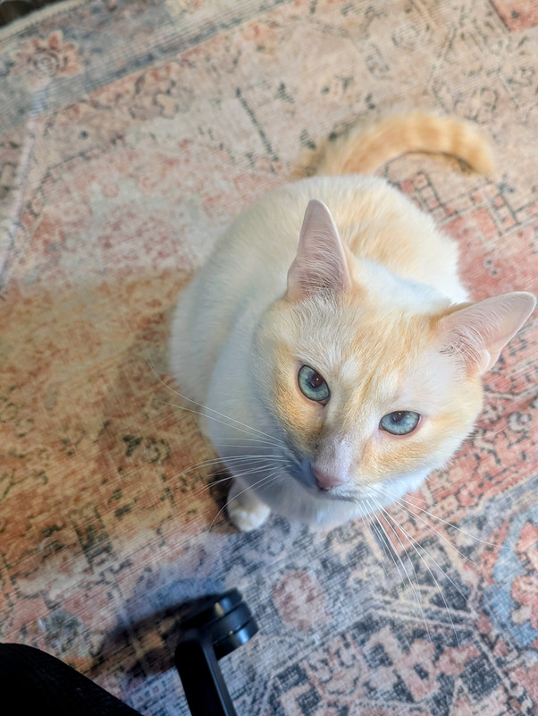 PXL 20260126 165033502 NIGHT 2