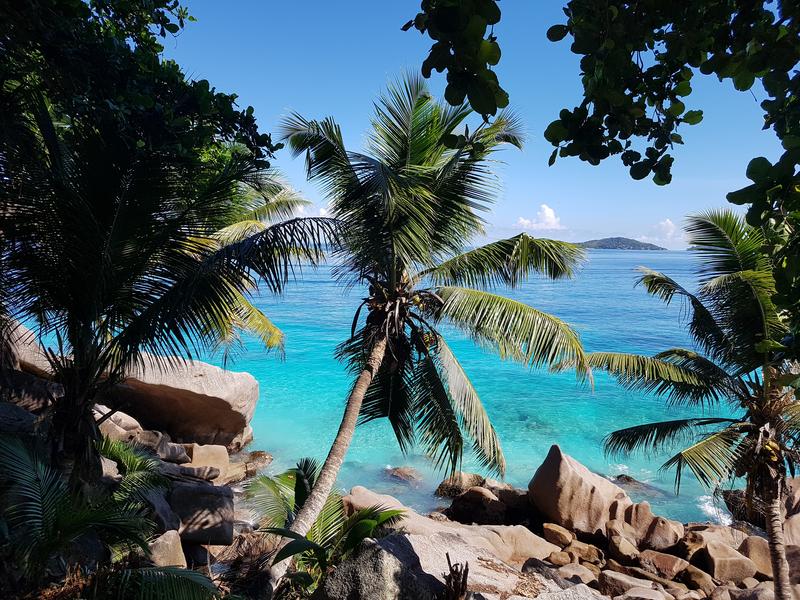 Seychelles-2ª parte de nuestra luna de miel. Se puede pedir más? - Blogs de Seychelles - DÍA 8:  LA DIGUE “accidentada” (5)
