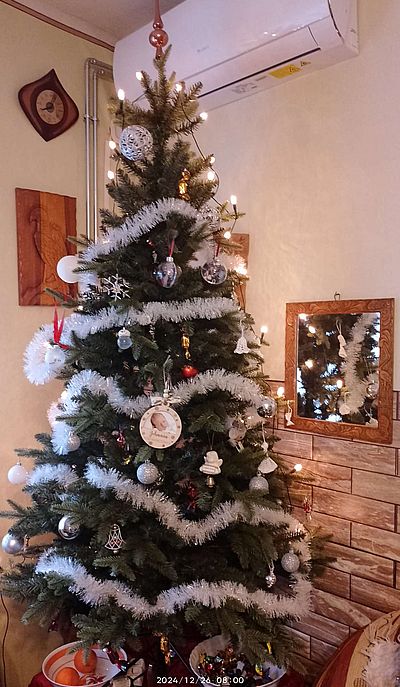 https://i.postimg.cc/RVX2ymRP/kf-hanna-2024december.jpg