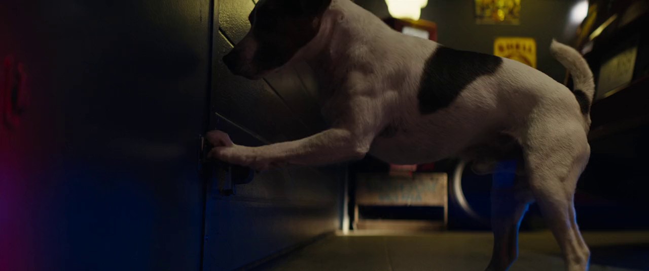 Dog-Man-2023-Blu-Ray-Hin-Eng-Tam-Tel-720p-8bit-x264-AVC-AAC-2-0-mkv-0004