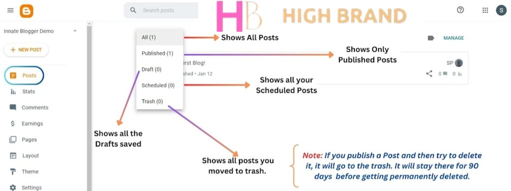 Blogger Posts Section
