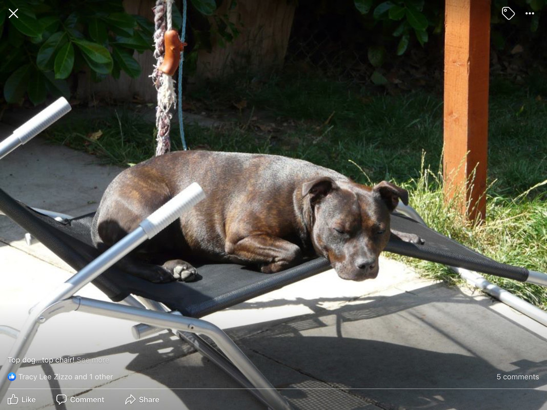 6520B642-EF12-4A11-AA9D-21AFD5A75763