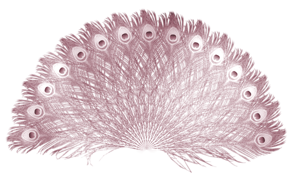 TADD_elements_PrincessParisian (124)