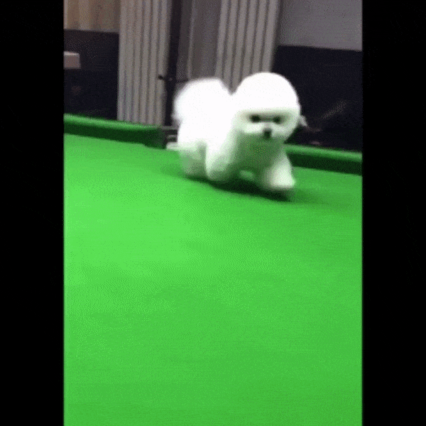 v-BTUr-Sq.gif