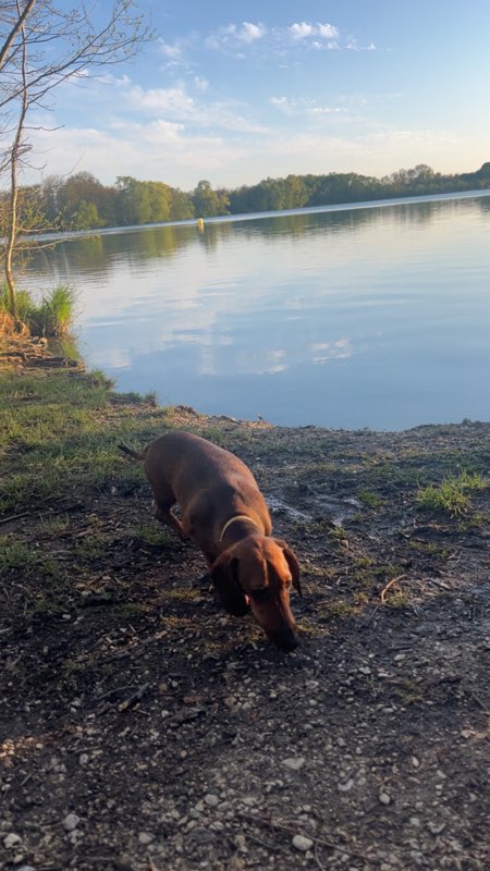 [Image: IMG-20250501-085205.jpg]