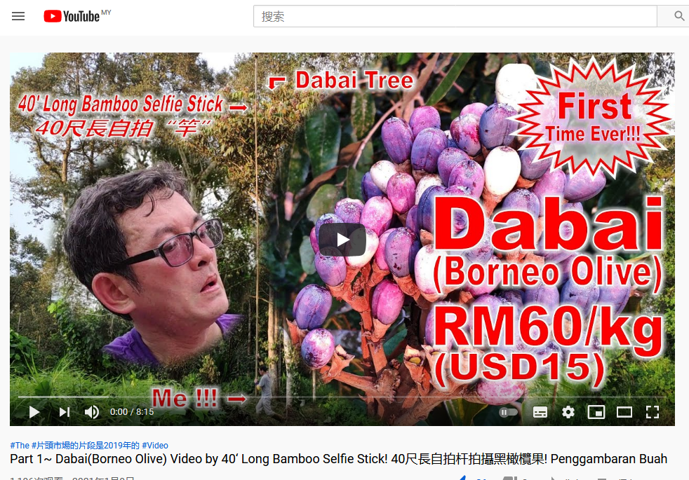 Firefox_Screenshot_2021-04-13T06-10-35.699Z