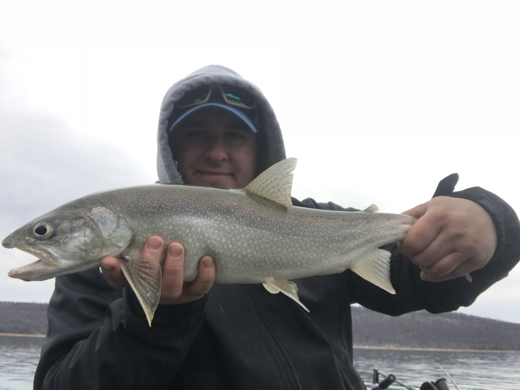 5A17848F-3634-46C9-AB78-782E3494A9F5