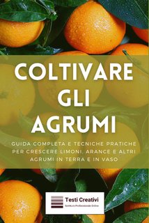 Testi Creativi - Coltivare gli agrumi (2024)