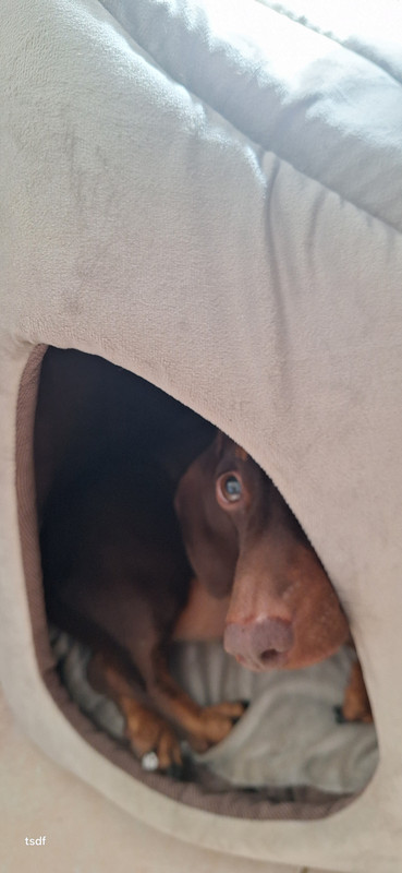 [Image: 20250901-134648.jpg]