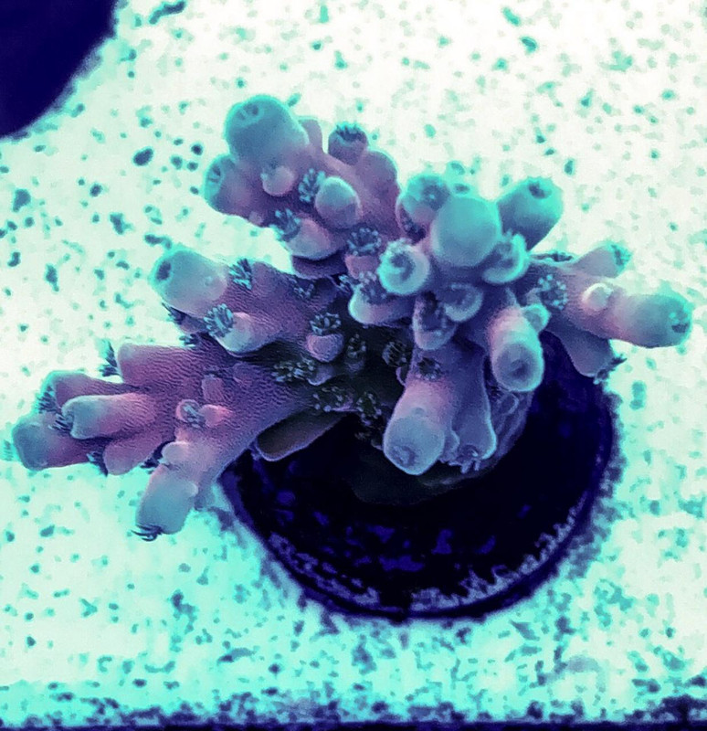 D6AC1152-04E9-4E21-B0DD-57A1127912CD