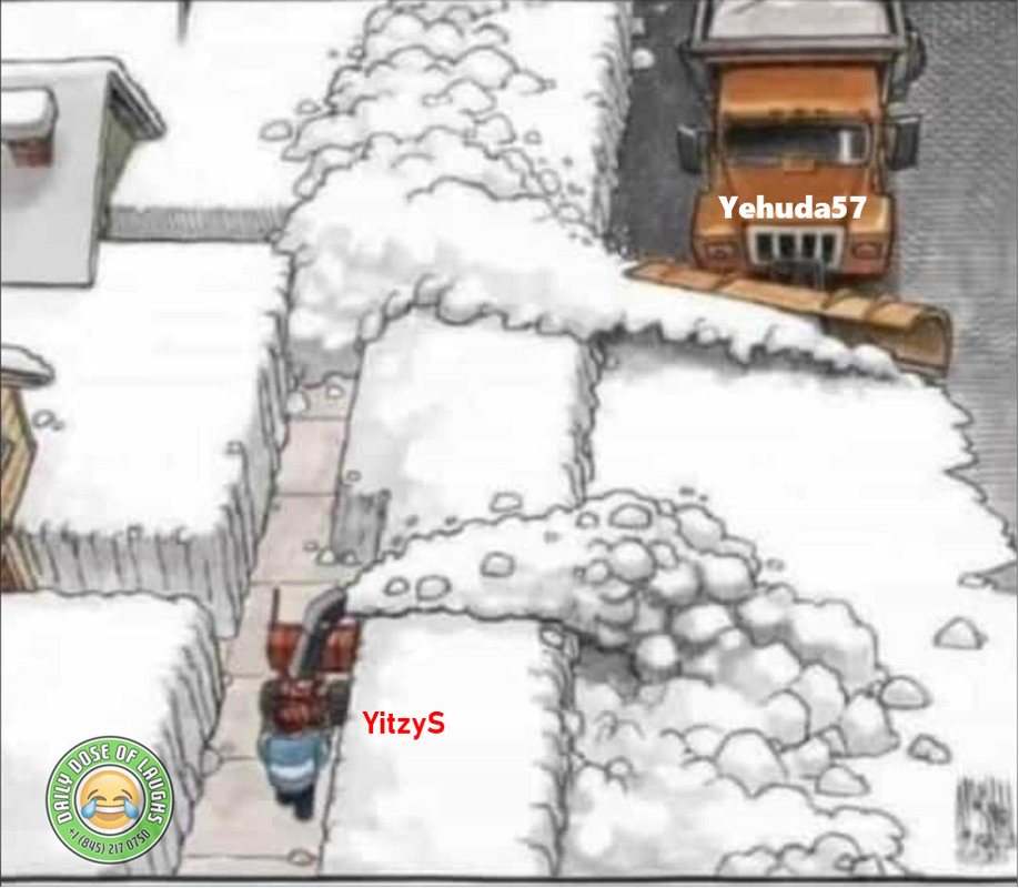 YY