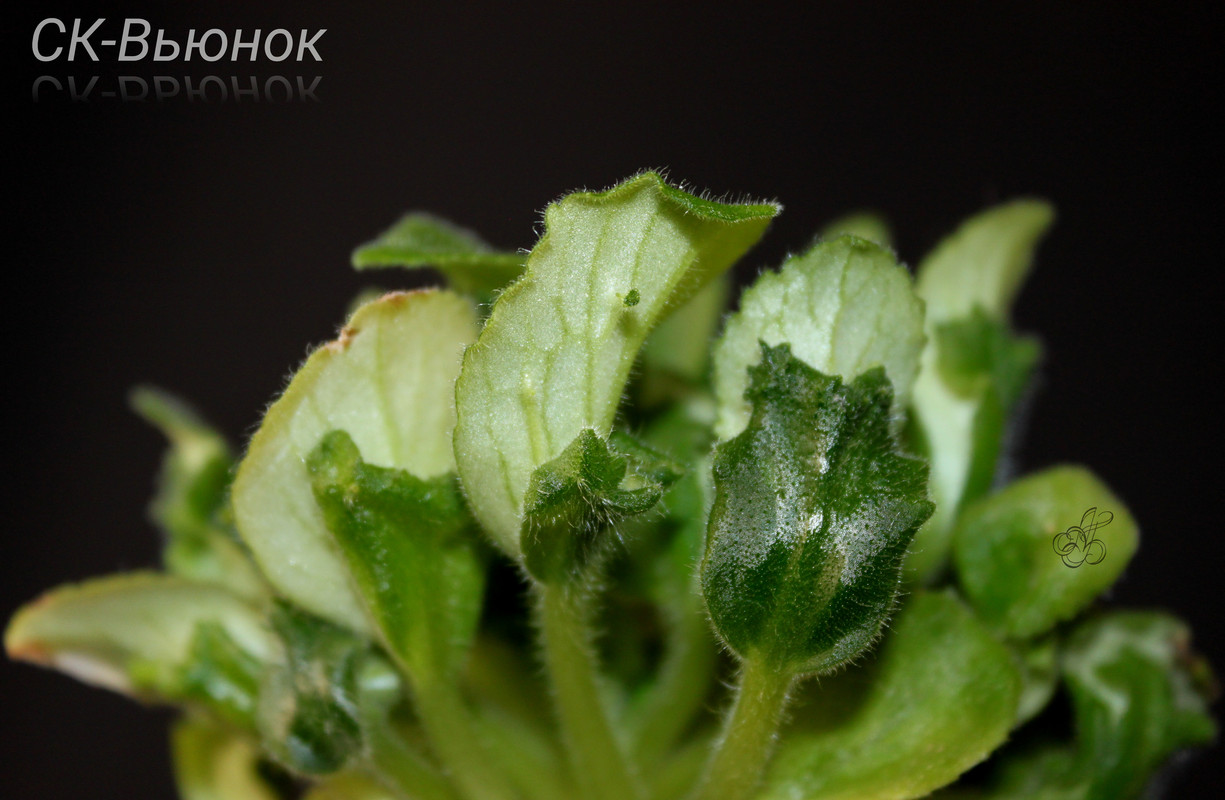 photostudio_1591870083063