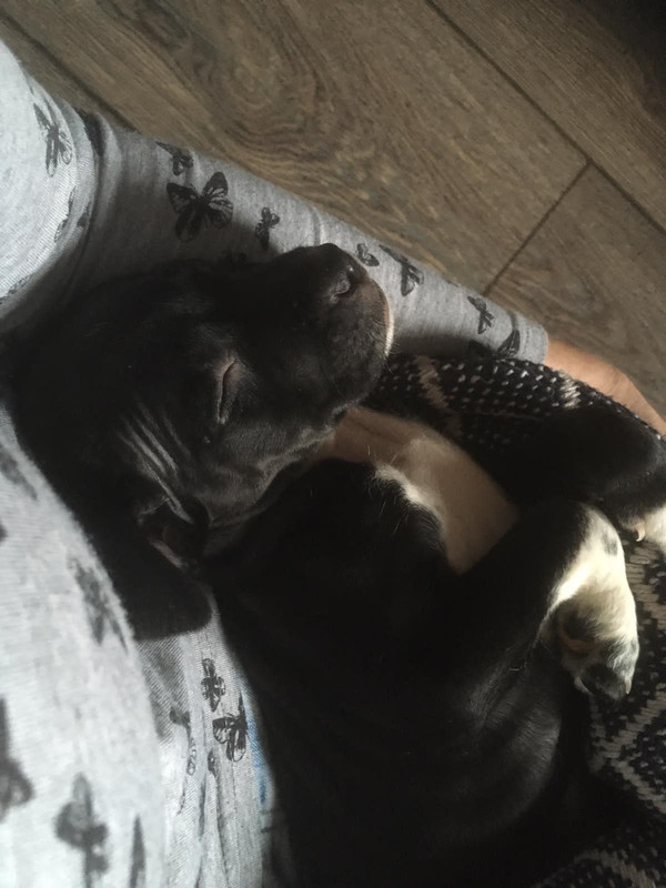 B4BE09D1-782E-4A90-92BC-E982EA03B2F8