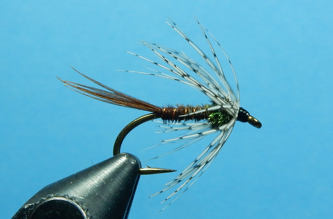 Pheasant-Tail-Soft-Hackle-1080.jpg