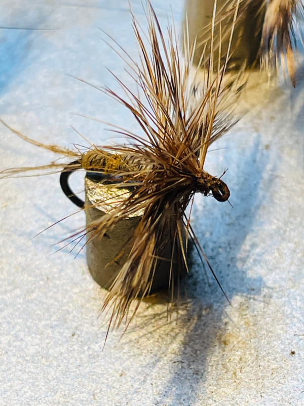 D06468A8-C54A-4A26-A09E-5743599C9D01