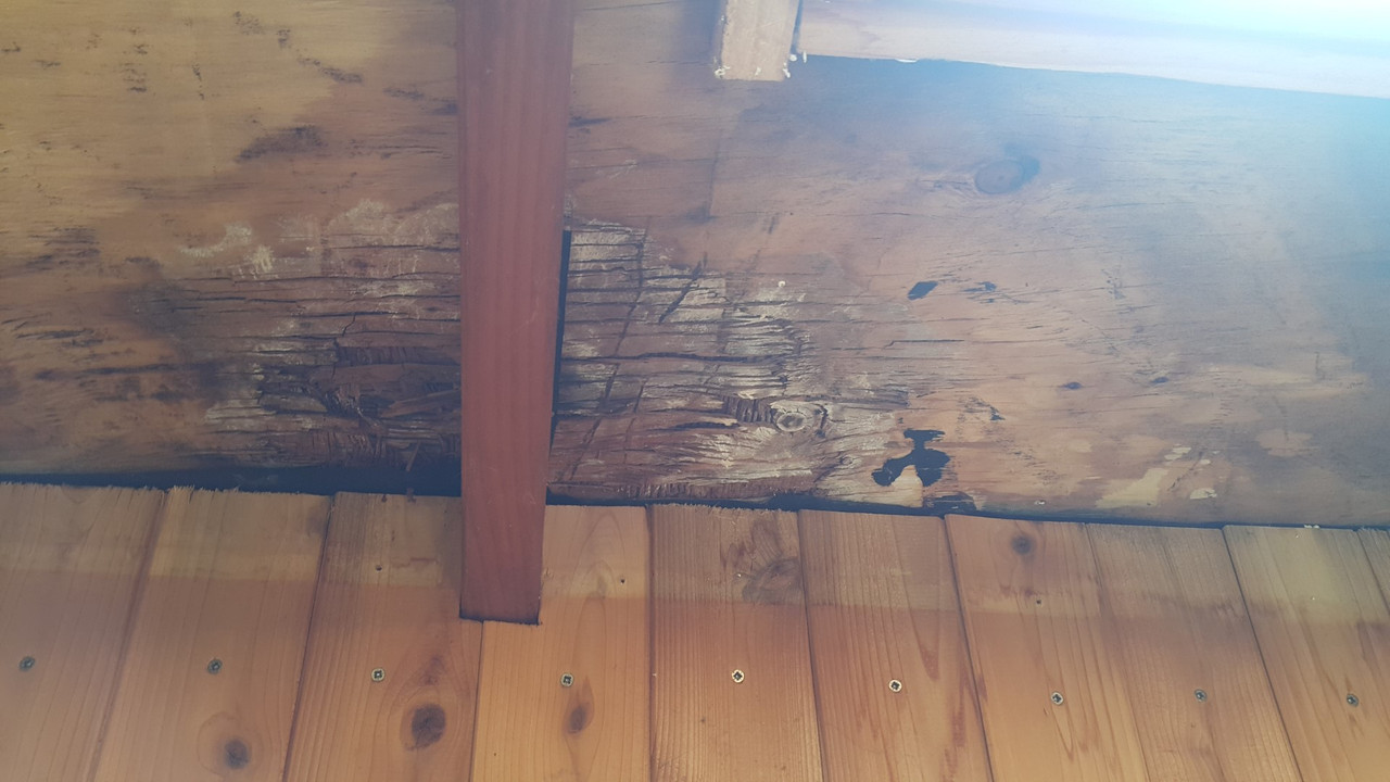 20181204_105000 (Large)