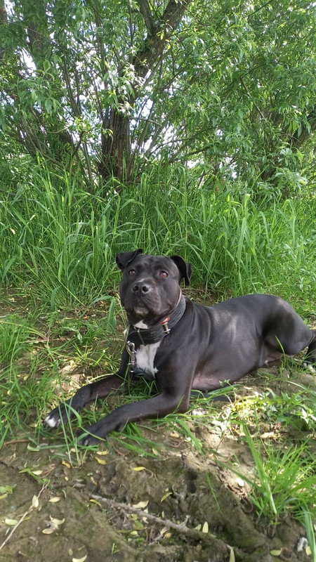 A87B2717-B17A-474E-A0BD-CAEBCE2DC551