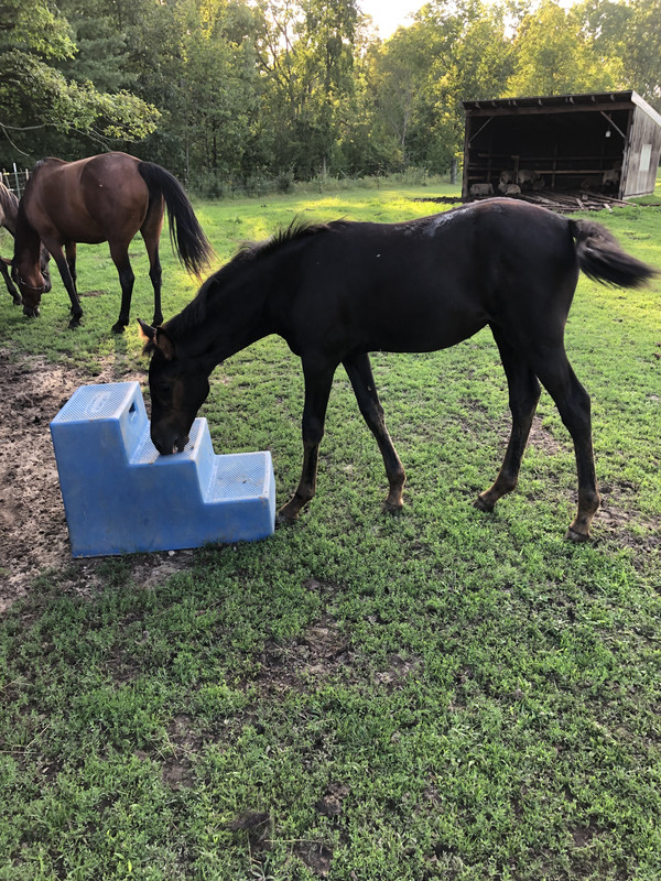 651FF298-C9F0-4317-A474-237FB8568205