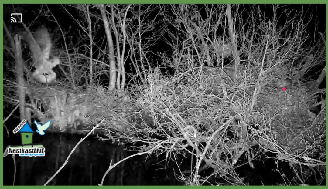 Screenshot 20260406 220646