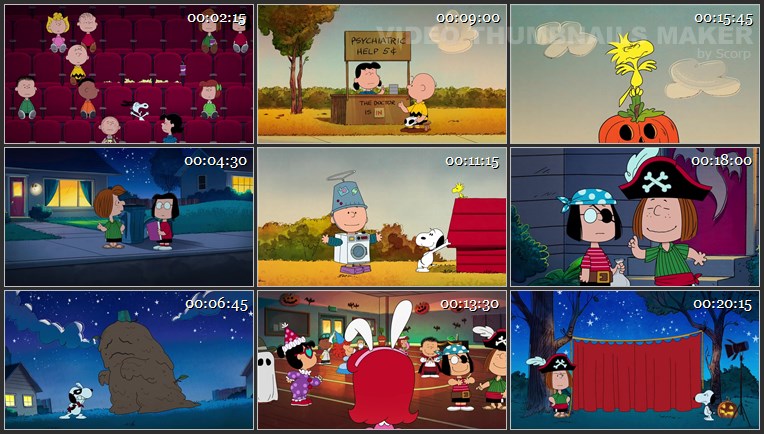 The Snoopy Show S01E03 The Curse of a Fuzzy Face.mkv