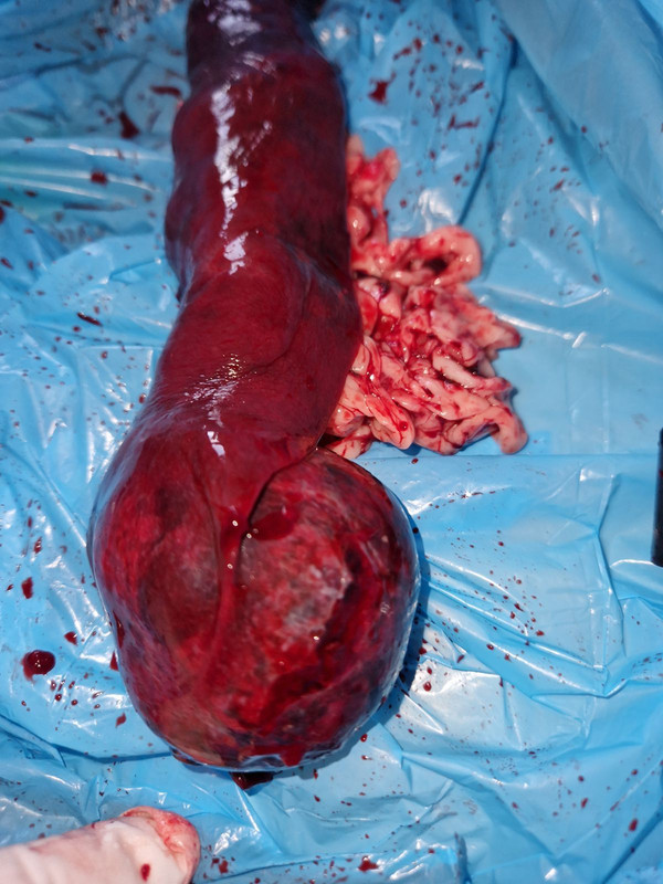 [Image: IMG-20240226-201521.jpg]