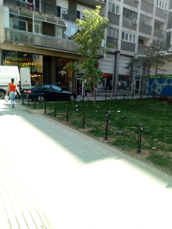 Slika