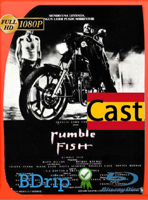 La ley de la calle (1983) BDRip [1080p] [Castellano-Ingles] [GoogleDrive] [RangerRojo]