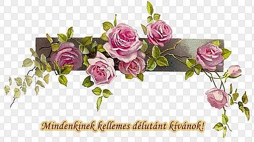 https://i.postimg.cc/RVZtTf2q/kellemes-delutant4.jpg
