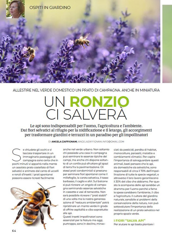 Gia Ant - Mar-Apr-Mag 2024 (5)