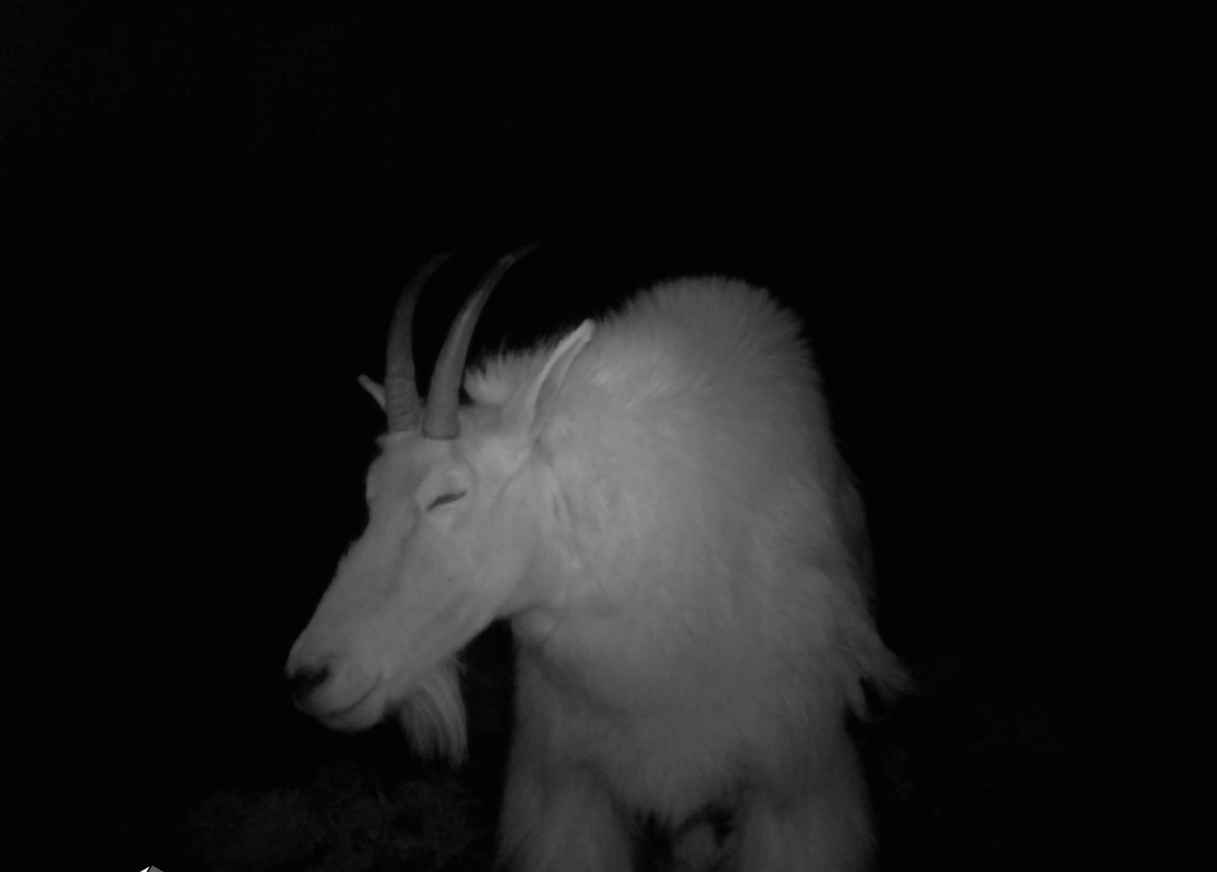 D65ABCAB-FFC2-4F38-8790-35FBEB1DFC33