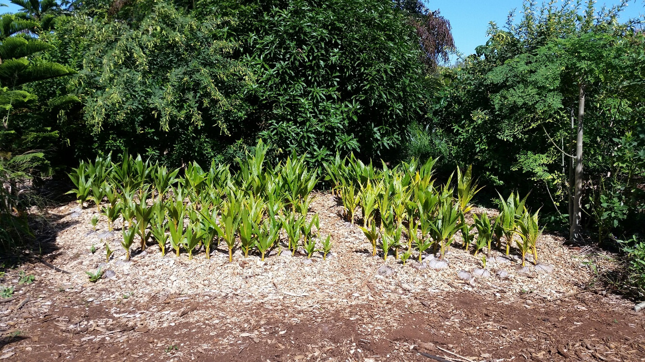 20150204_105407_resized_1