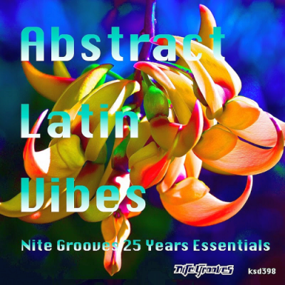 VA - Abstract Latin Vibes (Nite Grooves 25 Years Essentials) (2019)