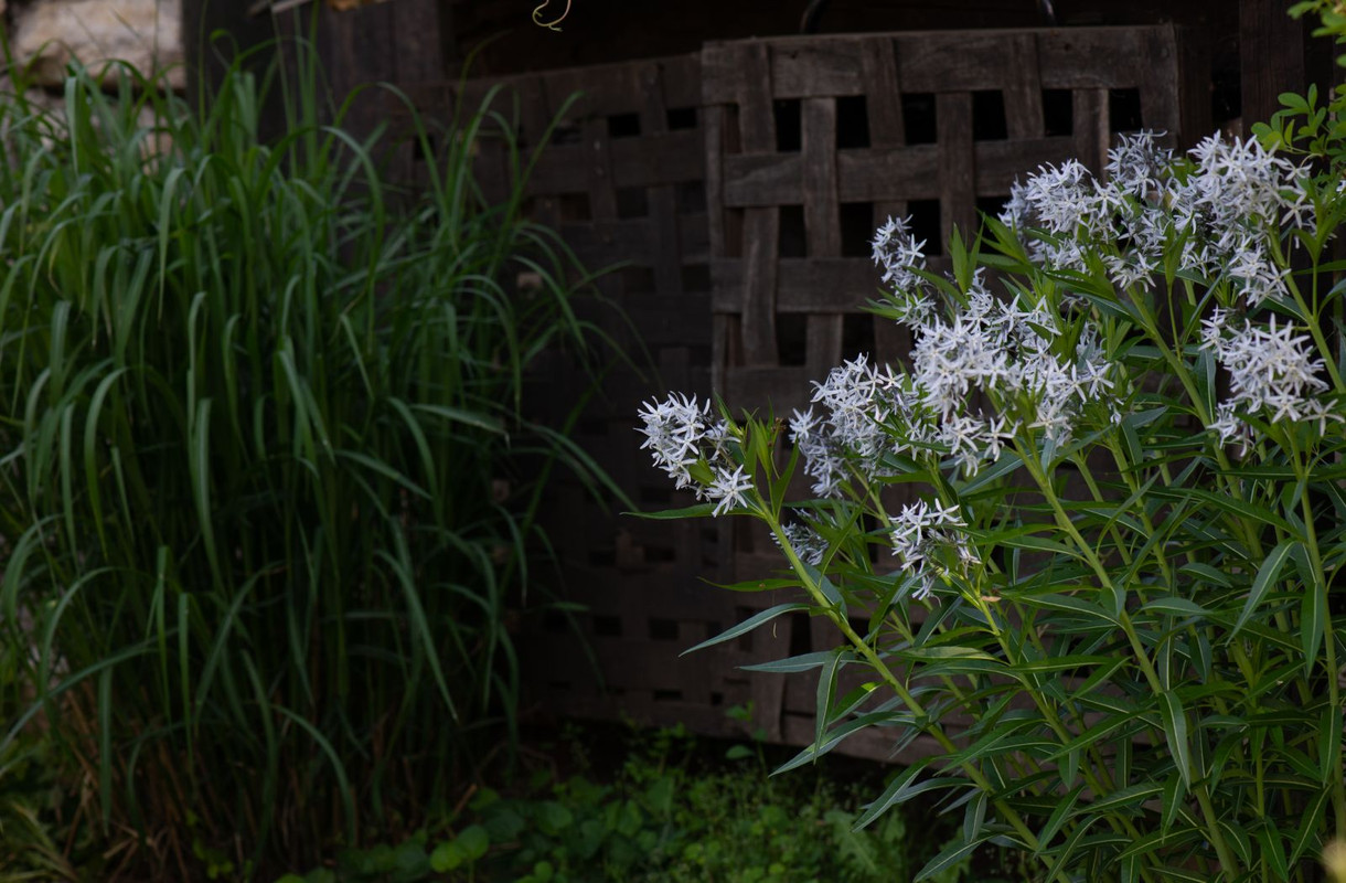 IMG-5001d8a664bed052b4deb79d9683e76d-V