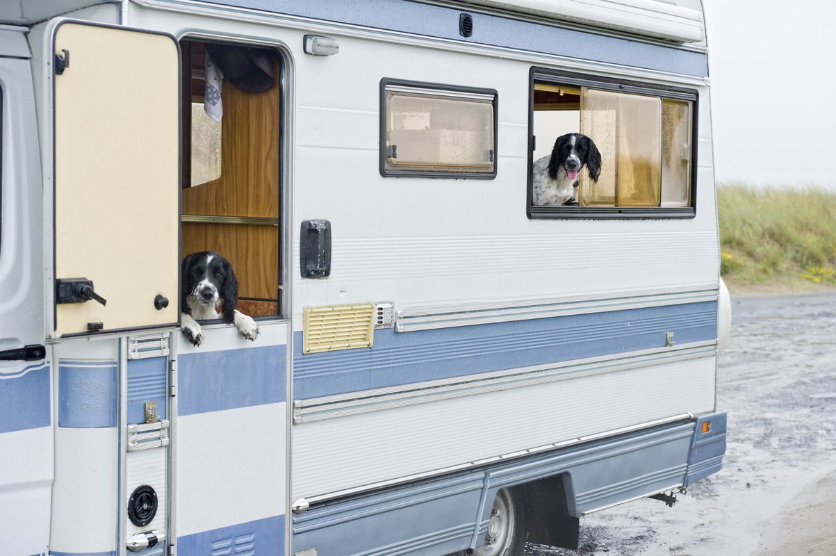 Viaggi in Camper: tutto quello che avreste voluto sapere