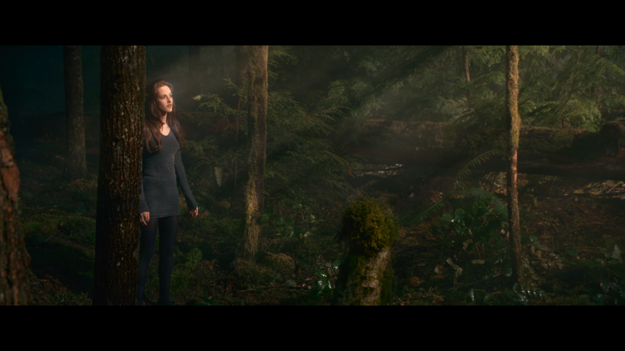 mpv-shot_The.Twilight.Saga.Breaking.Dawn.Part.2.2012.2160p.UHD.BDREMUX.HDR.DV.HEVC-Нечипорук_00_29_5