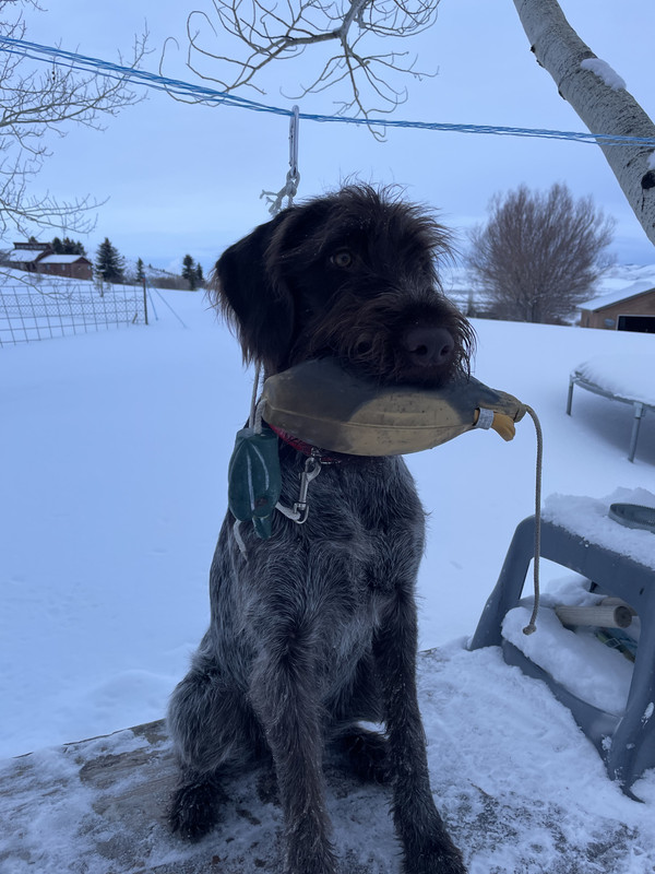 096D8A45-B89A-454D-A536-B8FF677AF76B