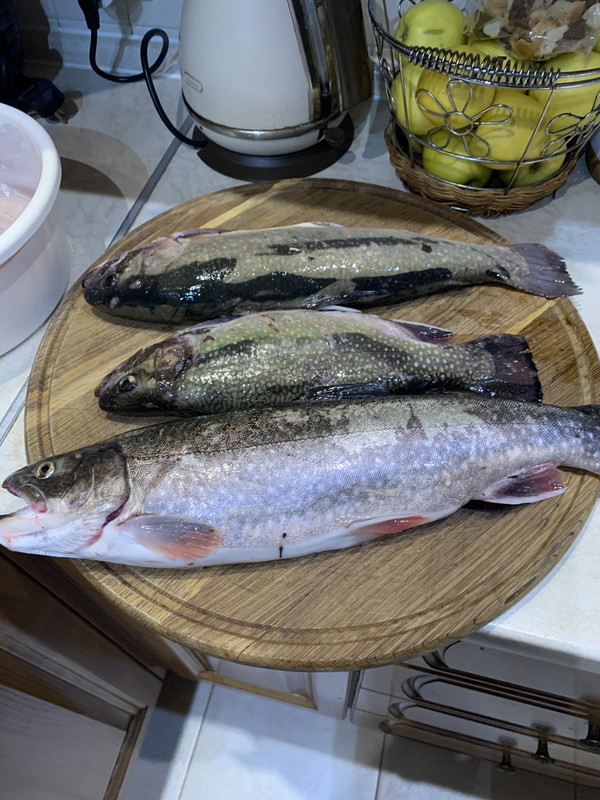 64A63911-422C-490A-A15A-4C7714966A3B