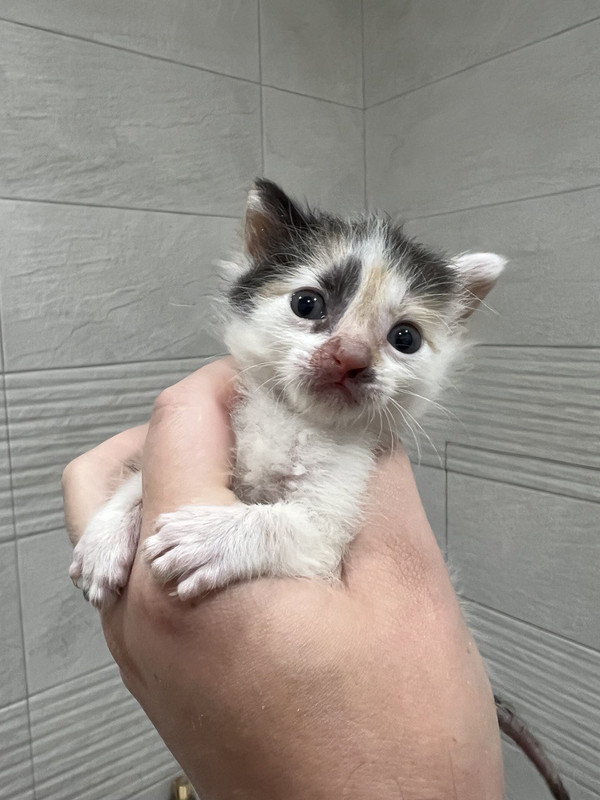 060B28A5-CFF2-4FE6-A074-24C16E7D9C9B