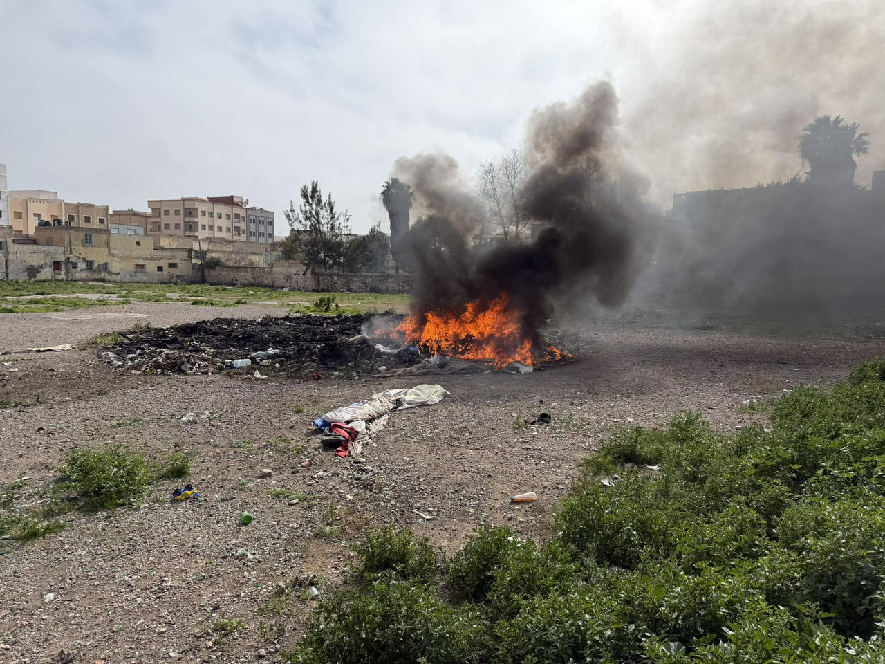 636713120-1610623710253686-8784527700714436446-n