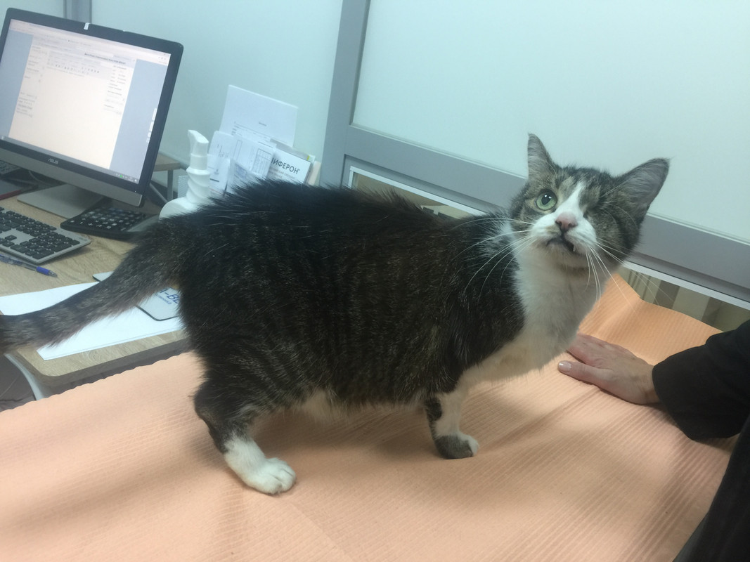 99C0AC82-6703-4B25-9970-C83C46AA00E8