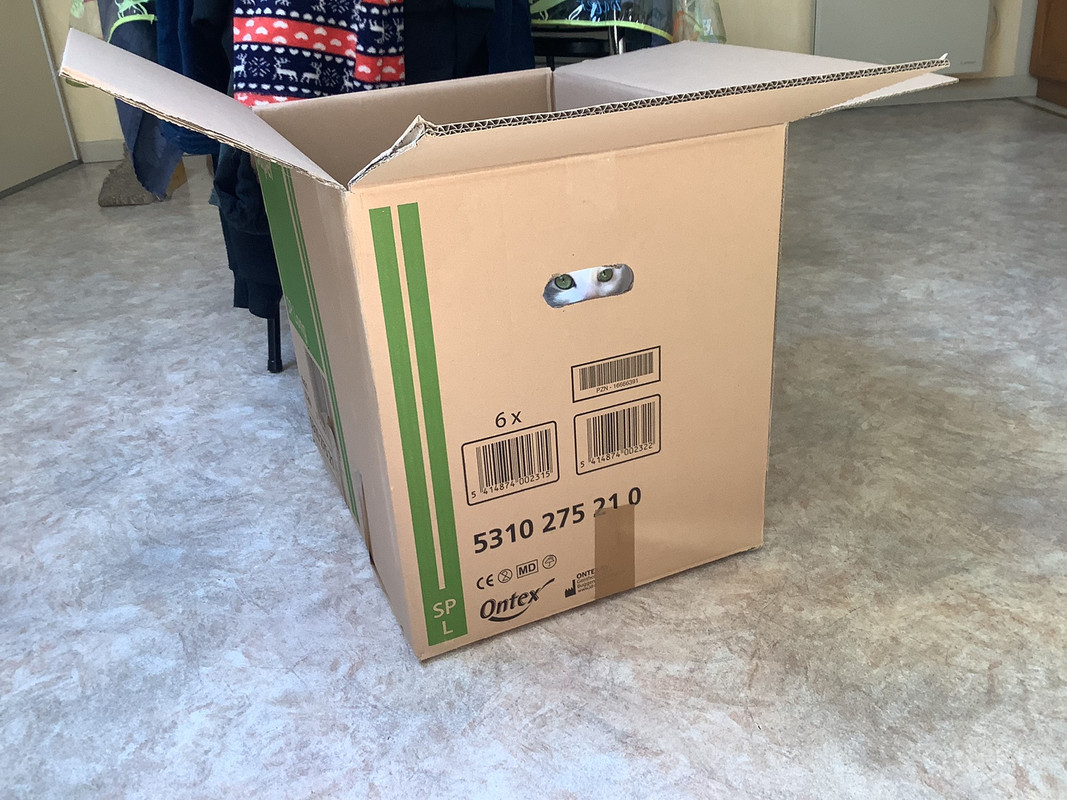 CCA20A80-90EF-44B7-9E0F-E765C3B1C406