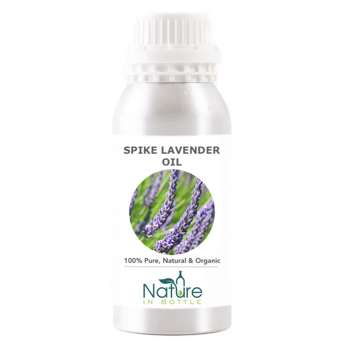 Lavender, Spike (Lavandula latifolia) essential oil, Organic – Wingsets