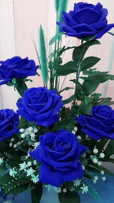 blue-roses.jpg