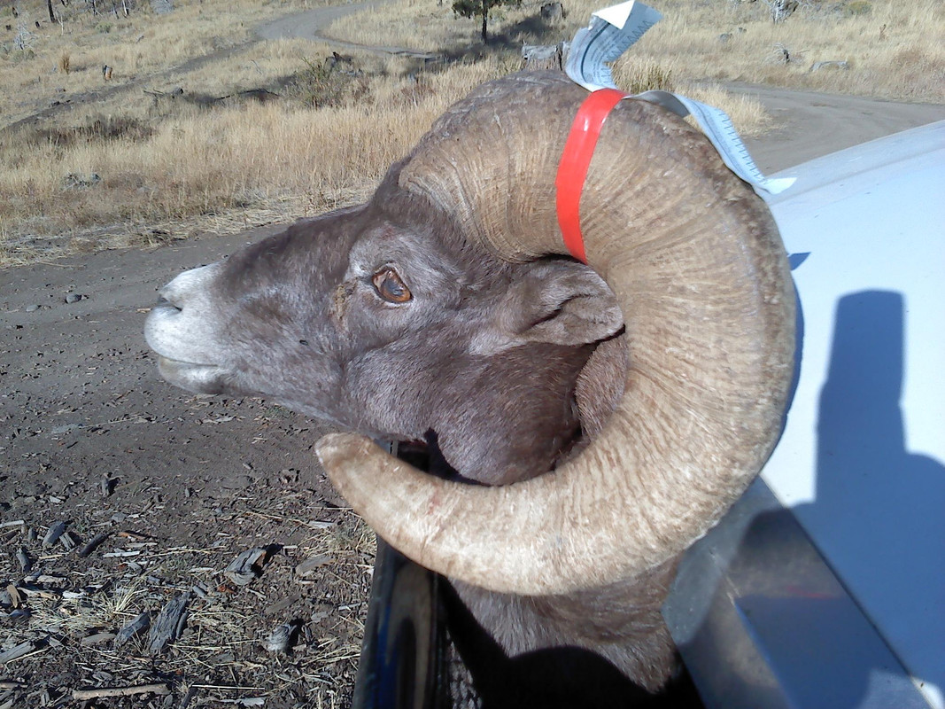 Ram 2012